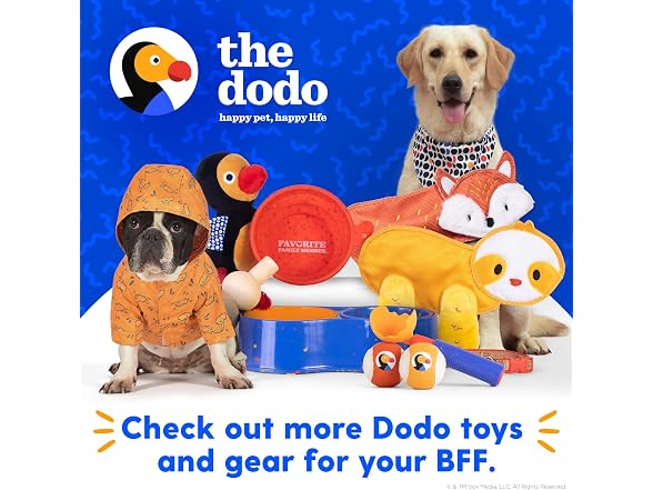 The Dodo Dog Hoodie, Black Colorblock, Size Large