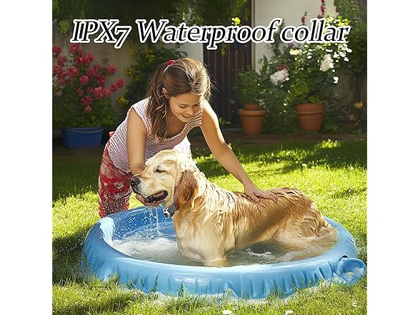 Wireless Dog Fence & Training Collar