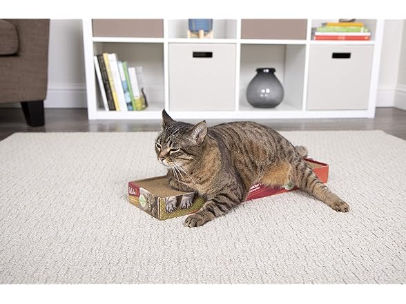 Links 49505 Corrugates Scratch Pad