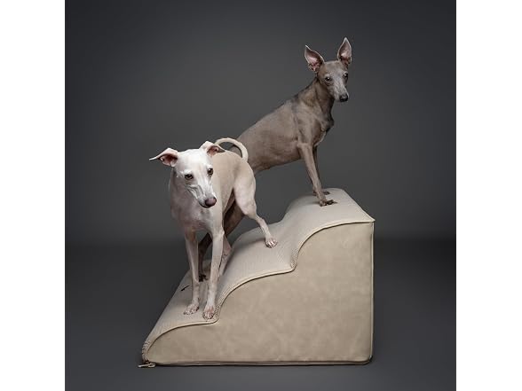 NOAH & PAW Steps 27" Width