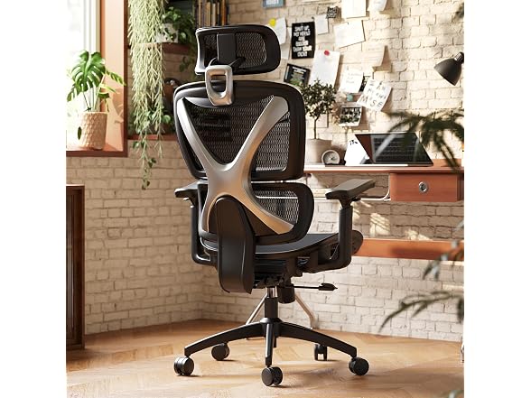 Ergonomic Office Chair, Big and Tall, Black