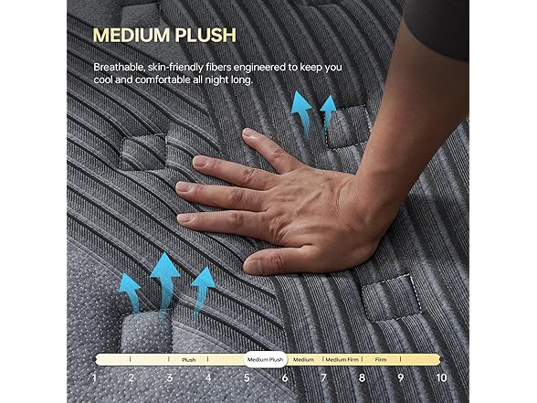 Queen 14 Inch Hybrid Mattress