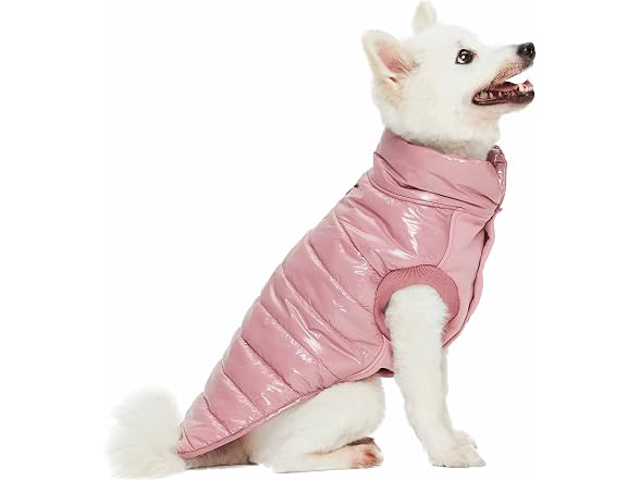 Blueberry Pet Windproof Quilted Winter Jacke