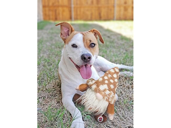 SPOT Woodsy Gnome Dog Toy