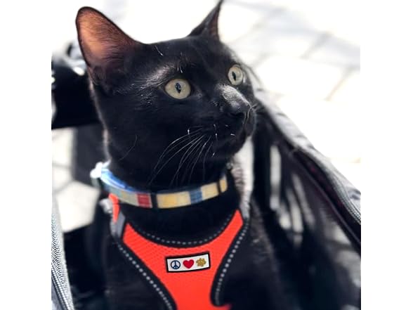 Pawtitas Dog Vest Harness Made with Breathab