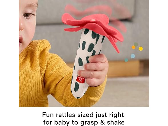 Fisher-Price Shake ‘n Rattle Busy Bee