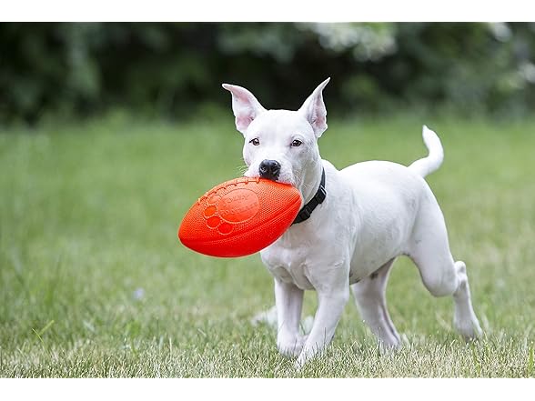 Jolly Pets Football Dog Toy, 8 Inches, Orange
