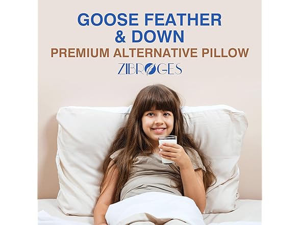 Zibroges Premium Goose Feather Pillows