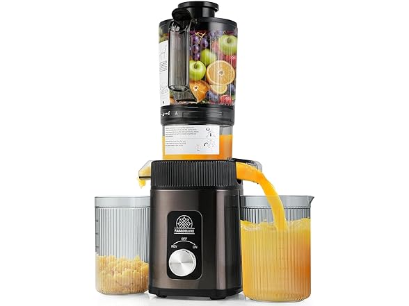 FAB&DELUXE Cold Press Juicer - 34oz