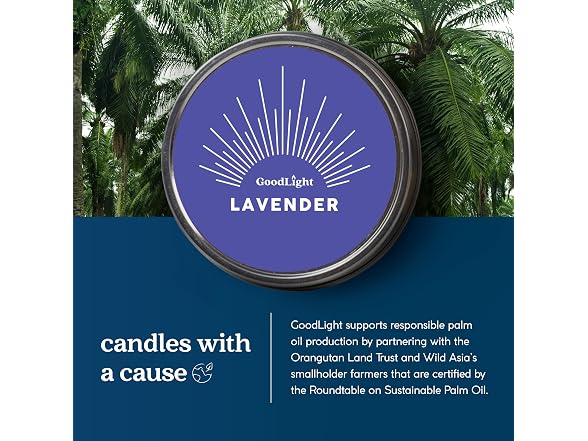 GoodLight Scented Candle Tin Paraffin Free