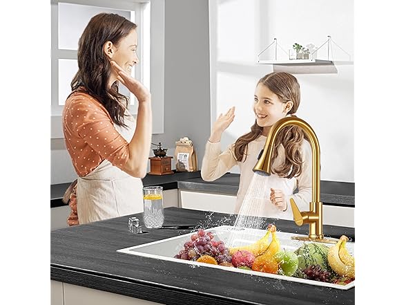 Rainovo Kitchen Faucet with Pull Down Sp