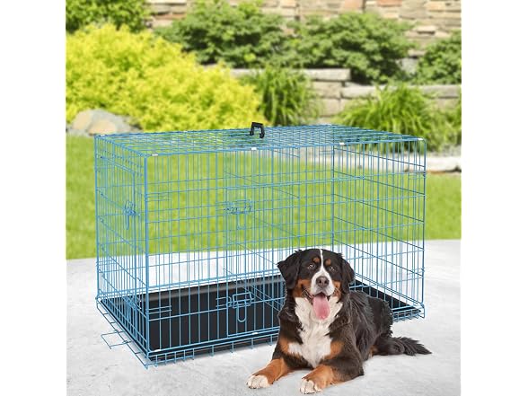BestPet | Dog Crate | 48" | Blue | Foldable