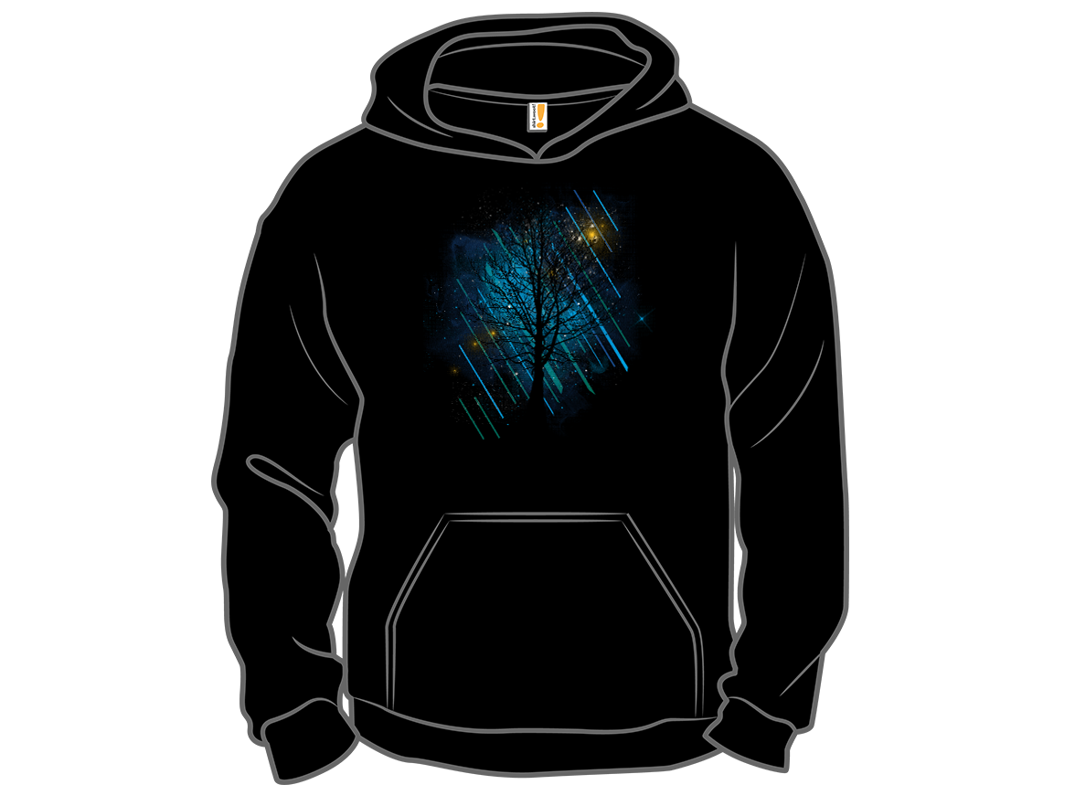 Northern Night - Gallery 12