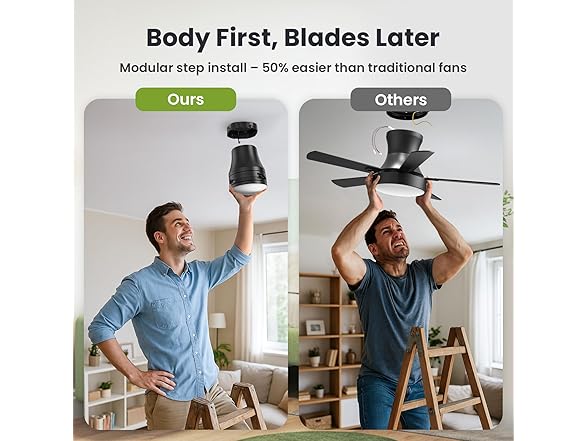 52" Black Ceiling Fan