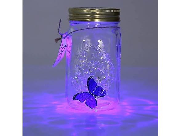 Animated Butterfly Jar That Moves