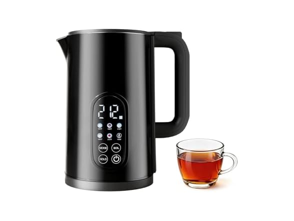 Electric Kettle with Temperature Control