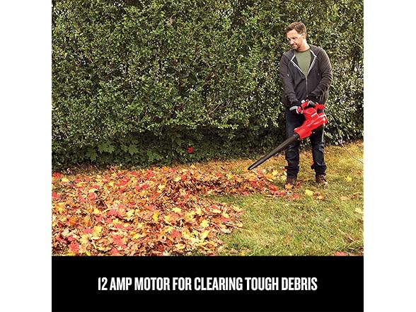 CRAFTSMAN 3-in-1 Leaf Blower, Vacuum and Mulcher