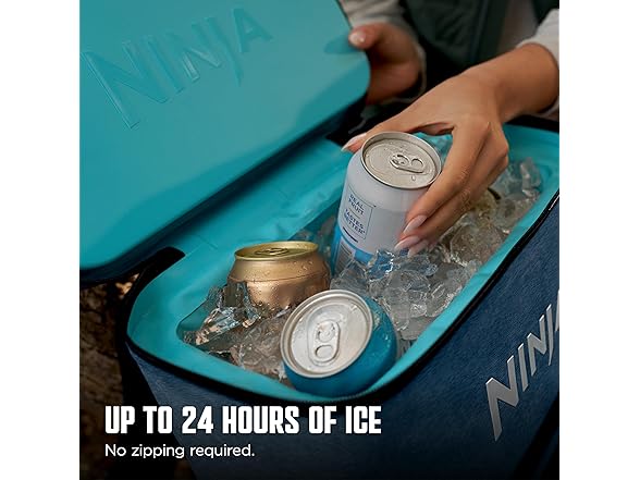 Ninja Ninja Backpack Cooler | FrostVault Go 24 Can