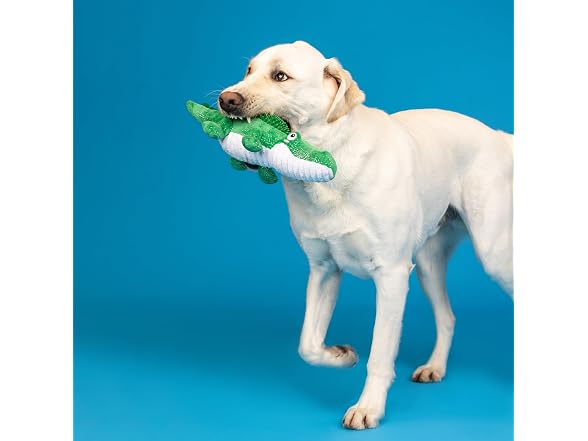 Fringe Studio Plush Dog Toy, Ready to Croc