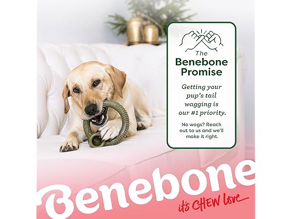 Benebone Peppermint Chew Toy Ring