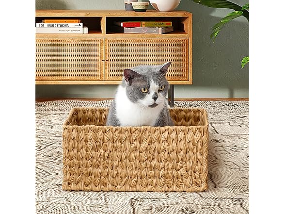 JS HANGER Large Woven Rattan Storage Basket 