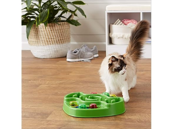 Amazon Basics Pet Activity Center and Feeder, Green