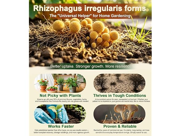 Herdemia Mycorrhizal Fungi