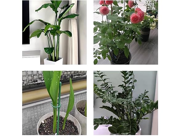 GXXMEI 18PCS 12 Inch Plant Support Stake