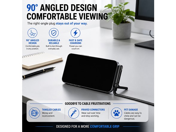 2in1 Charger with Phone Stand