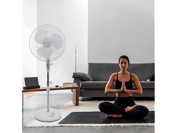 Comfort Zone 18-Inch Oscillating Pedestal Fan