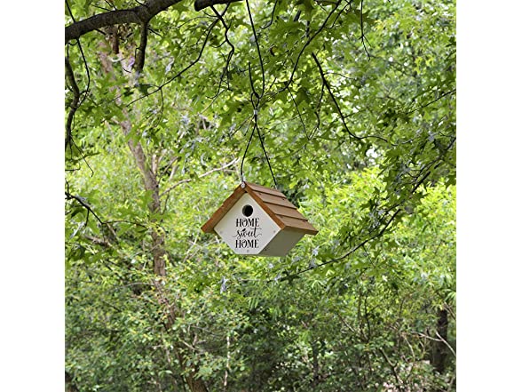 Wild Wings Farmhouse Wren House