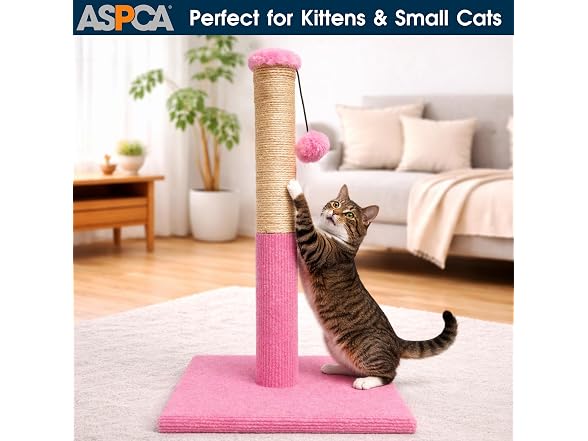 ASPCA Cat Scratching Post for Indoor Cats- Pink