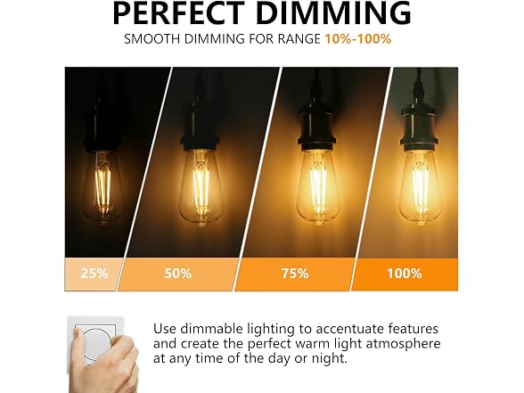 BORT ST58 Edison Bulbs