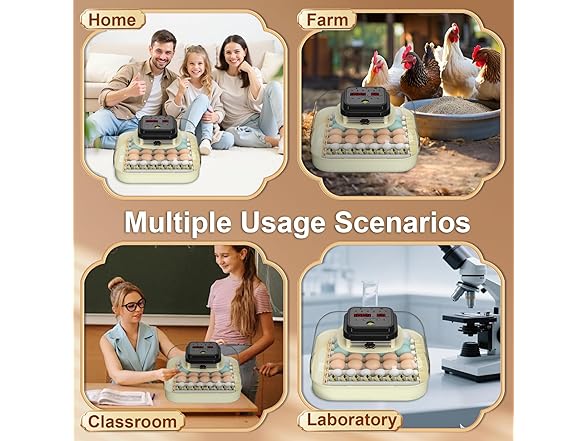 CoInceptus 35 Eggs Incubators