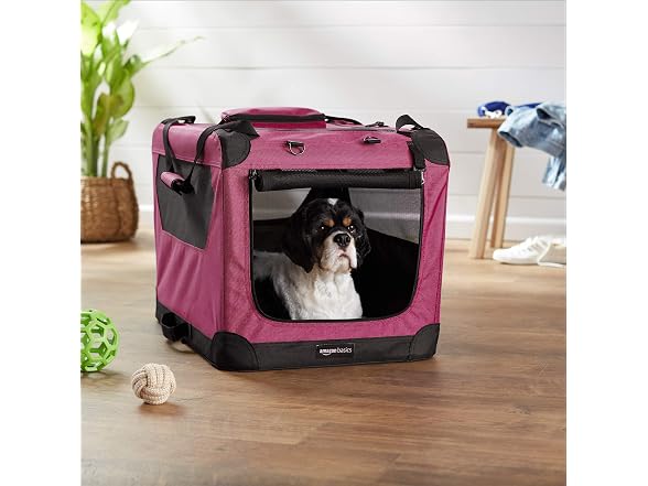 Amazon Basics Folding Portable Soft Pet Dog Crate, Red