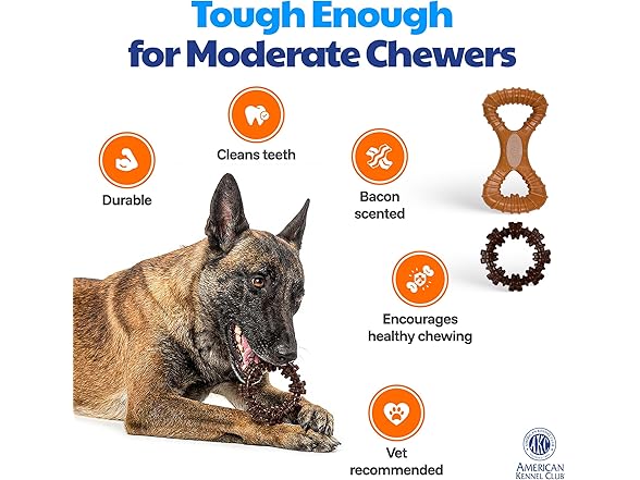 American Kennel Club 2 Pack Training Tug and Ring