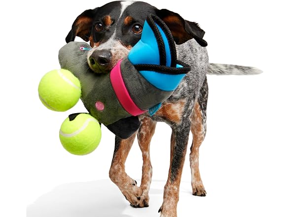 Barkbox Way Rad Rollerblade Dog Toy | Plush - Gallery 4