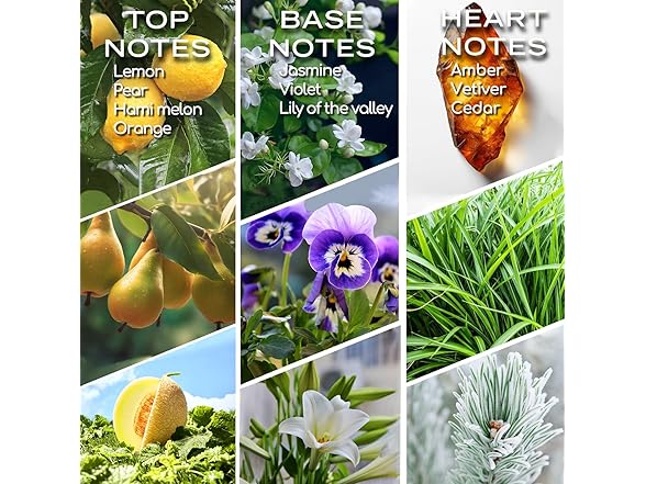 homnas Serenity Meadows Essential Oil