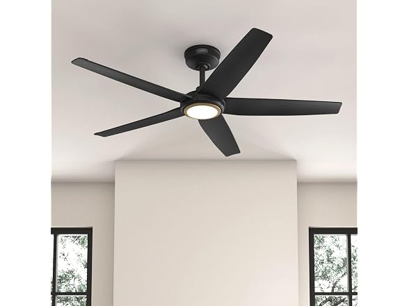 Hunter Fan 52 inch Ceiling Fan with Light, Matte Blk