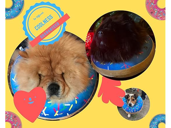 DIRTY LITTLE PAWS Dog Donut Collar