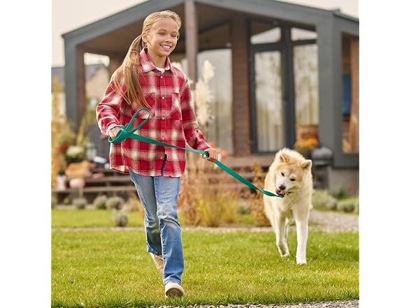 Viper Biothane K9 Working Dog Leash Wate Lea