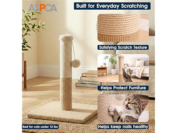 ASPCA Cat Scratching Post for Indoor Cats