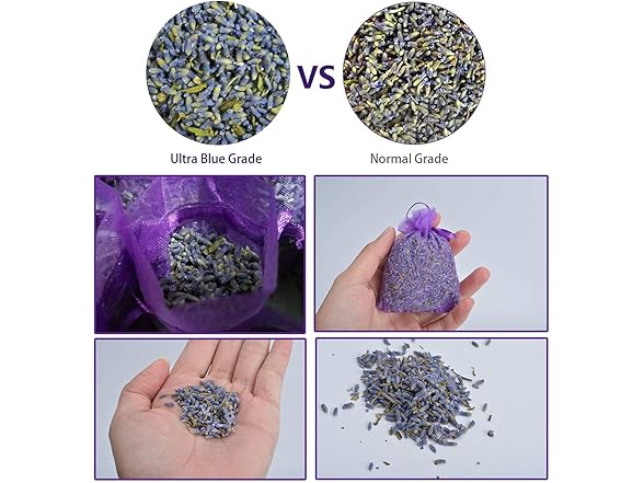 RENM 1 Pound Dried Lavender Buds