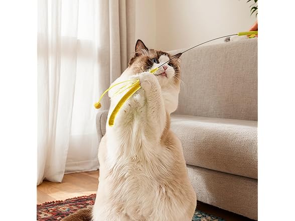 (2 Pack) Cat Wand Toy
