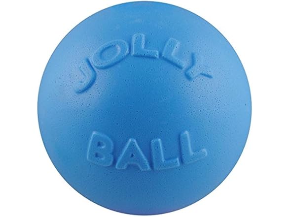 Jolly Pets Bounce-n-Play Dog Toy Ball, 8 In