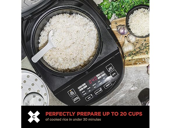 Crux 20 Cup Induction Rice Cooker