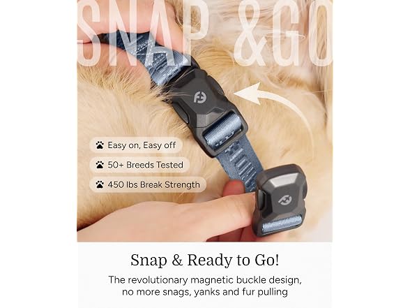 Fei & Eve MagEase Patented Magnetic Buckles D - Gallery 2
