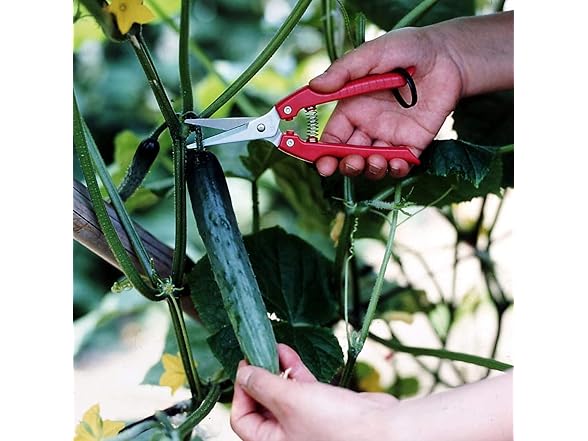 ARS Needle Nose Pruner HP-SE45 3Pk