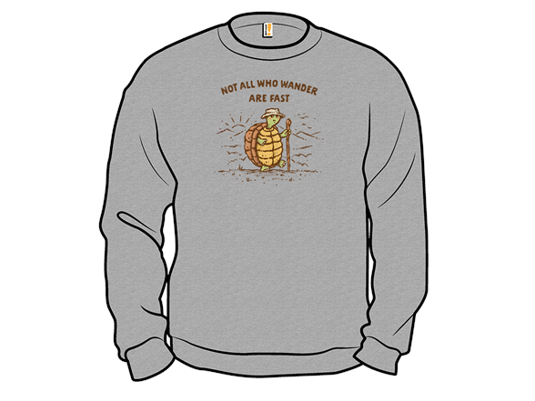 Not All Who Wander Are Fast