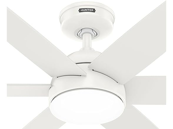 Hunter Fan 52 Inch White Indoor Ceiling Fan with Light and Remote
